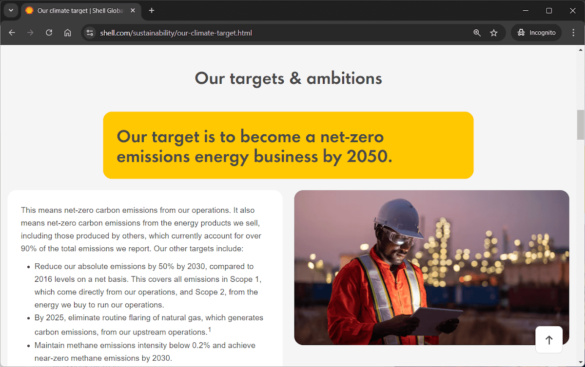 A screengrab of Shell Oil's website