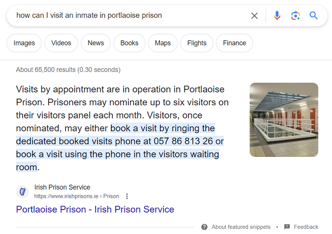 A screengrab of search results from Google about Irish prison service website
